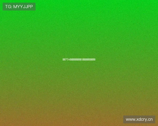 畅享70x处理器性能全面解析 让智能体验更上一层楼